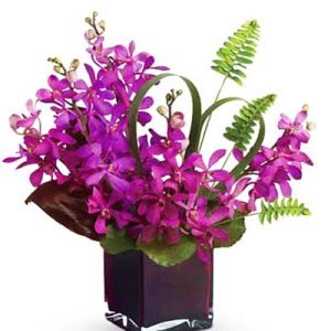 lavender-orchids