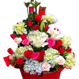 love-comes-again-saigon