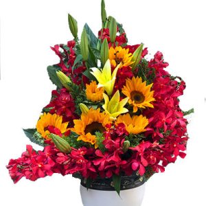 mixed-orchid-01