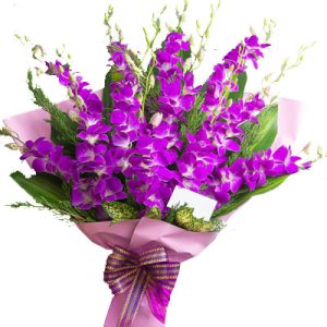 purple-orchid-01