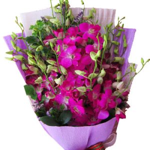 purple-orchid-04