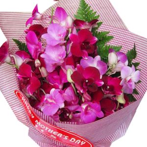 purple-orchid-10