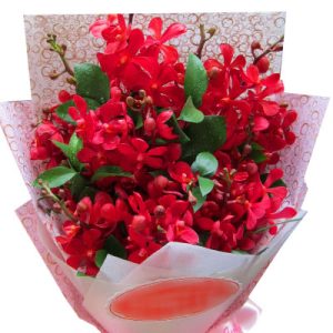 red-orchid-03