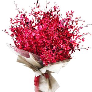 red-orchid-05