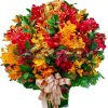 Hoa Lan Nhiều Màu 05