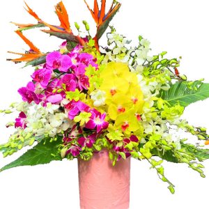 sunset-mix-orchid-03