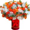 Giấc Mơ Muôn Màu