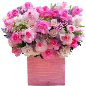 pink-light