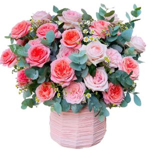 rose-garden