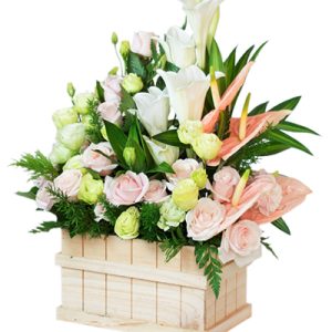 Sympathy Basket Vietnam 10