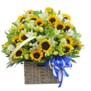 Sympathy Basket Vietnam 13