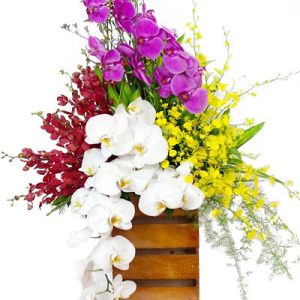 Sympathy-Basket-15