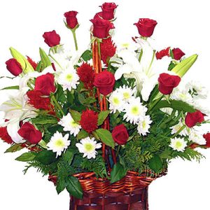 Sympathy-Basket-16