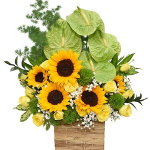 office-flowers-05
