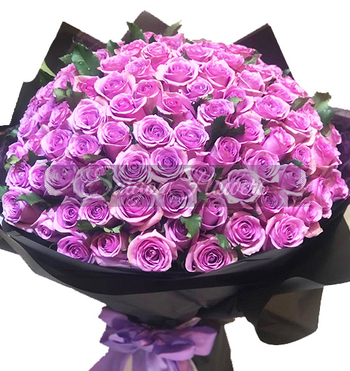 purple-lilac-loves