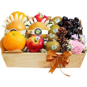 christmas-fruits-05