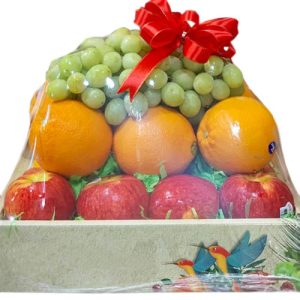 christmas-fruits-06