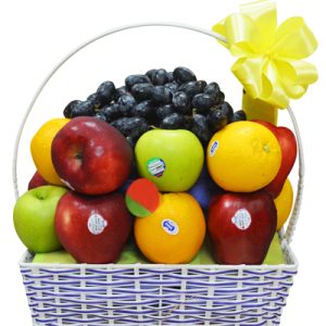 christmas-fruits-16