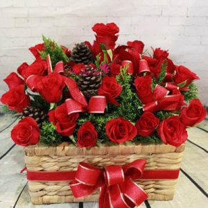 Christmas Roses 17