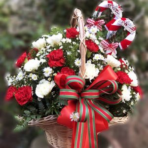 Special Christmas Flowers 06