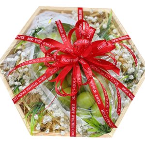 special-christmas-fruits-04