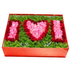 special-christmas-flowers-021