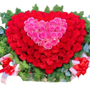 vip mothers day roses 002