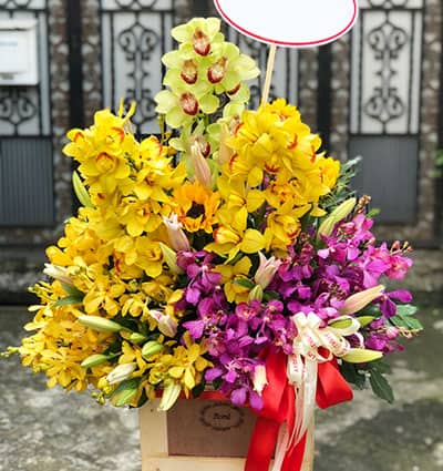 Flowers Delivery Vinh Long 0308