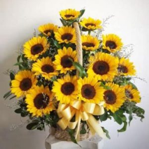 Women's Day 20-10