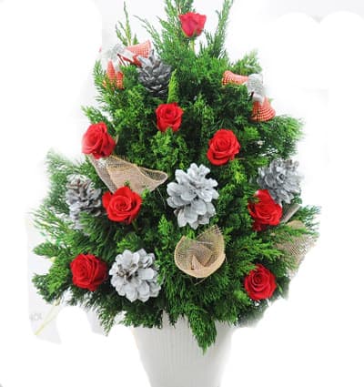Delivery-Christmas-Flowers-To-Vietnam-3011 