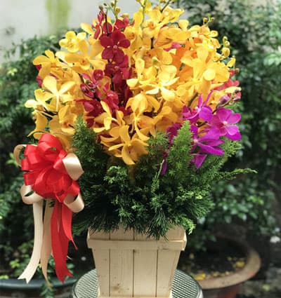 Send-Flowers-To-Vietnam-Teacher's-Day-20/11-1711 