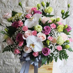 christmas-flowers-vietnam-107