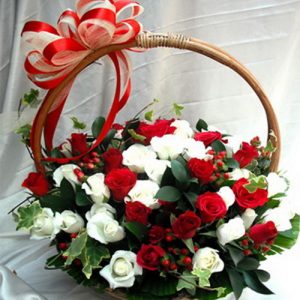 christmas-flowers-vietnam-34