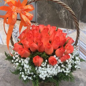christmas-flowers-vietnam-56