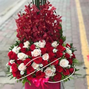 christmas-flowers-vietnam-70
