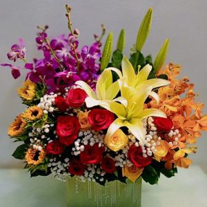 christmas-flowers-vietnam-99