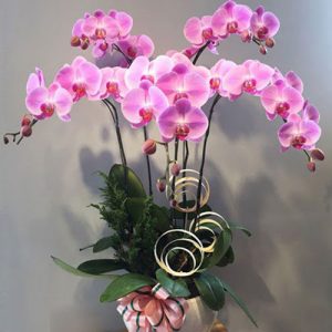 flowers-for-valentine-56
