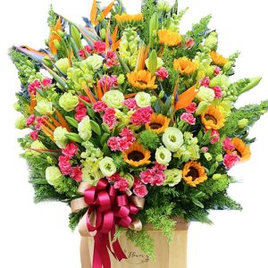 vietnamese-christmas-flowers-001