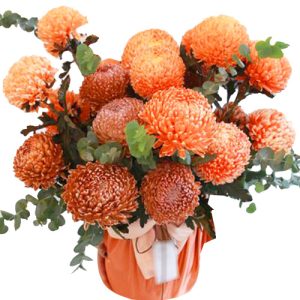 peony-chrys-flowers-004