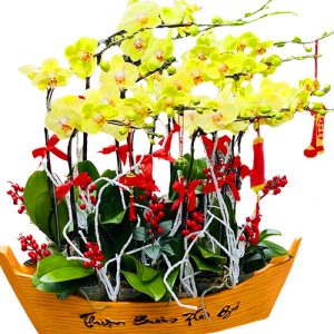 special-orchids-for-tet-002
