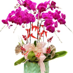 special-orchids-for-tet-007