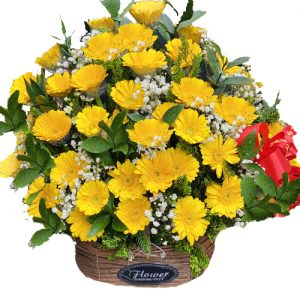 flowers for womens day 071