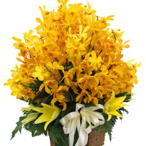 flowers-for-womens-day-077