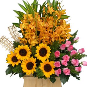 special mothers day 0026
