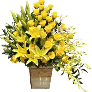 special mothers day 0033