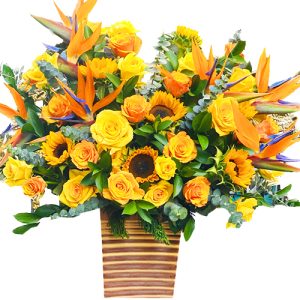 special mothers day 037