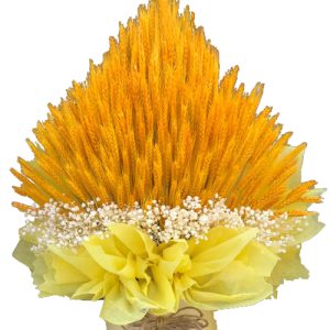 barley-flowers-05