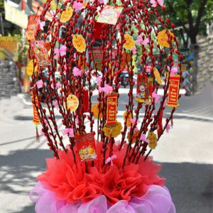 dao-tet-singapore-peach-tree-16m-red-02