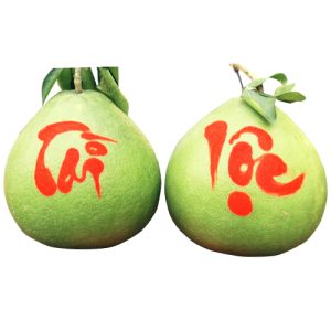 fresh-pomelo-tet-fresh-fruit