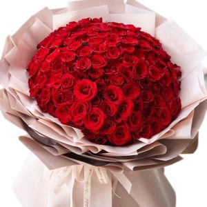 99-red-roses-valentine-1